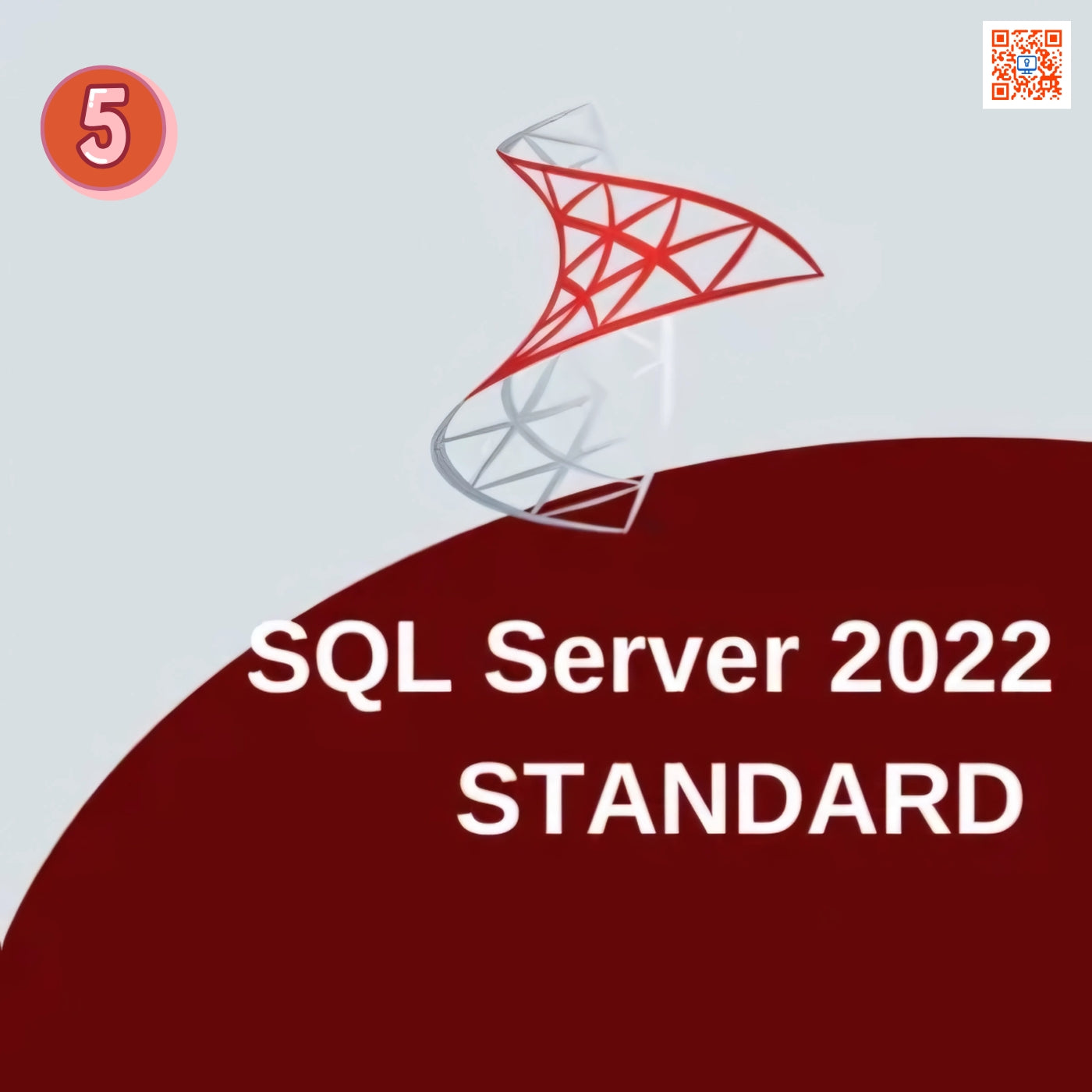 Microsoft SQL Server 2022 Standard (5 CAL) License Keys Global