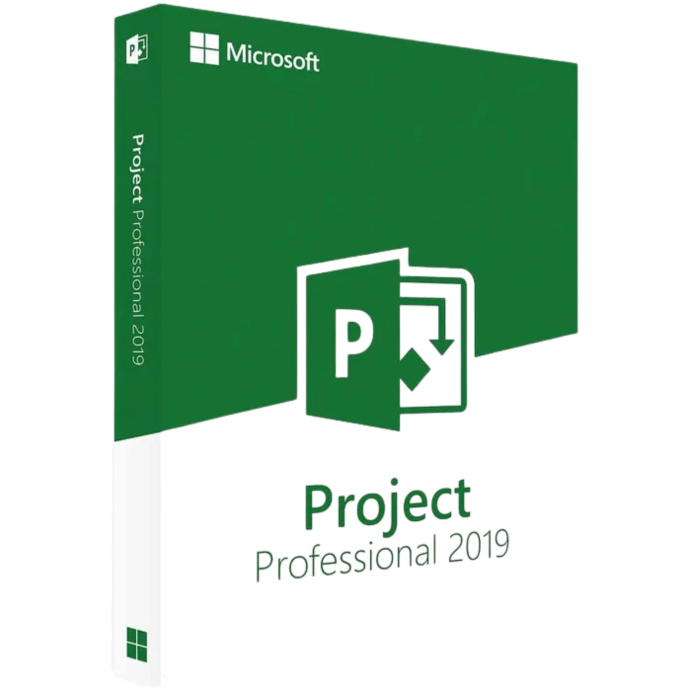 Microsoft Project Professional 2019 (PC) - Retail Key - Global