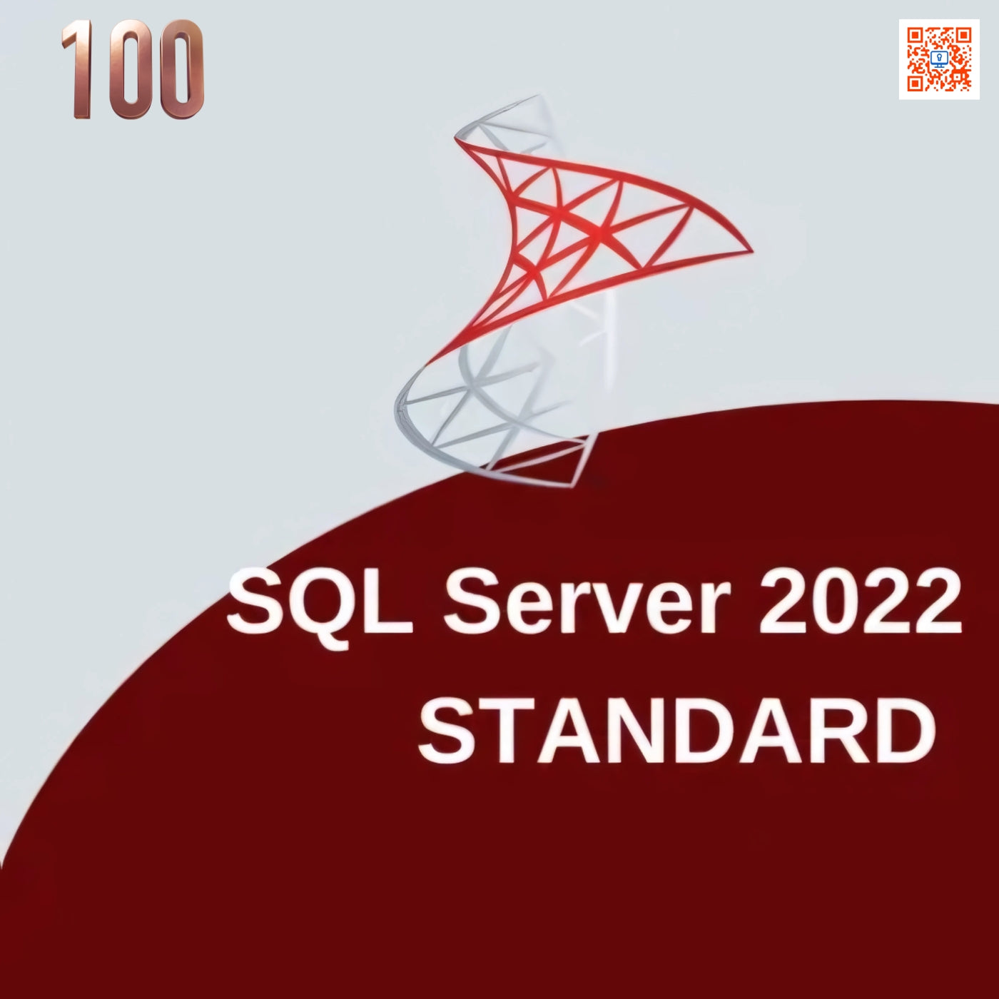 Microsoft SQL Server 2022 Standard (100 CAL) Global license